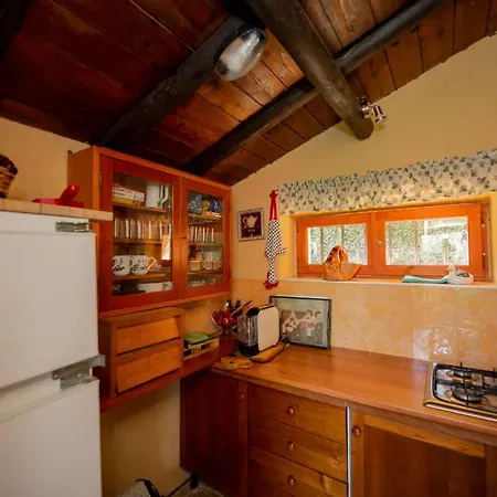 Villa Red Elegant And Charming Near Rome *